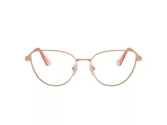 Swarovski Brillen SK 1007 4014