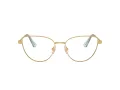 Swarovski Brillen SK 1007 4021