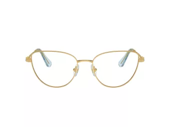 Swarovski Brillen SK 1007 4021