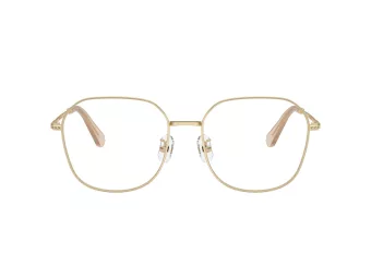 Swarovski Brillen SK 1009D 4013