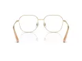 Swarovski Brillen SK 1009D 4013