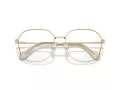 Swarovski Brillen SK 1009D 4013