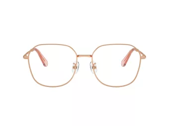 Swarovski Brillen SK 1009D 4014