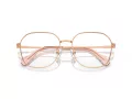 Swarovski Brillen SK 1009D 4014