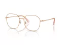 Swarovski Brillen SK 1009D 4014