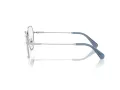 Swarovski Brillen SK 1011 4001