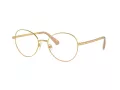 Swarovski Brillen SK 1013 4004