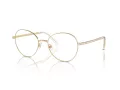 Swarovski Brillen SK 1013 4013