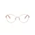 Swarovski Brillen SK 1013 4014