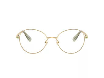 Swarovski Brillen SK 1013 4017