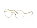 Swarovski Brillen SK 1013 4017