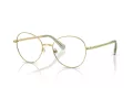 Swarovski Brillen SK 1013 4017