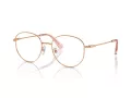 Swarovski Brillen SK 1016D 4014