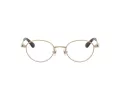 Swarovski Brillen SK 1028TD 4013