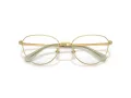 Swarovski Brillen SK 1029D 4017