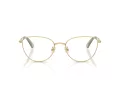 Swarovski Brillen SK 1029D 4017