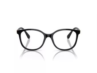 Swarovski Brillen SK 2002 1001