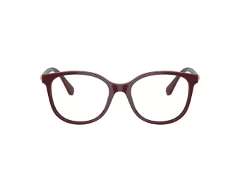 Swarovski Brillen SK 2002 1008