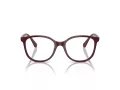 Swarovski Brillen SK 2002 1008