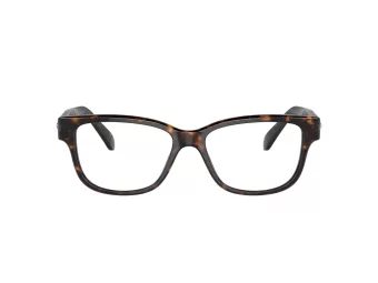 Swarovski Brillen SK 2007 1002