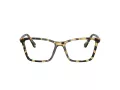 Swarovski Brillen SK 2015 1009