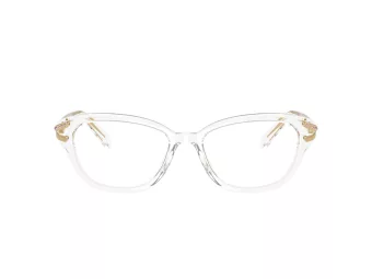 Swarovski Brillen SK 2032 1027