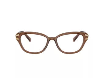 Swarovski Brillen SK 2032 1067