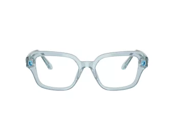 Swarovski Brillen 2039 1065