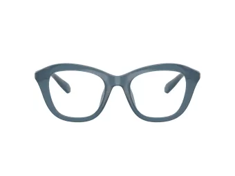 Swarovski Brillen SK 2042U 1035