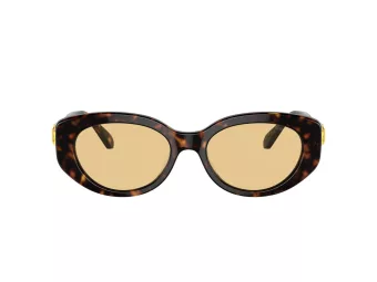 Swarovski Zonnebril SK 6002 1002/8