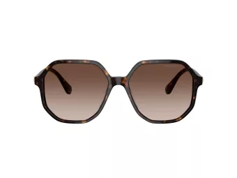 Swarovski Zonnebril SK 6003 100213