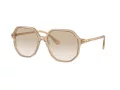 Swarovski Zonnebril SK 6003 103411