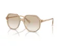 Swarovski Zonnebril SK 6003 103411