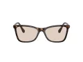 Swarovski Zonnebril SK 6004 1002M4