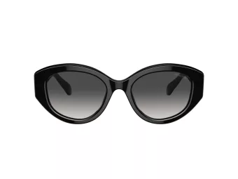 Swarovski Zonnebril SK 6005 10018G