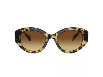 Swarovski Zonnebril SK 6005 100913