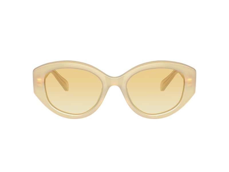 Swarovski Zonnebril SK 6005 10232Q