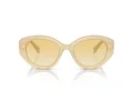 Swarovski Zonnebril SK 6005 10232Q