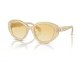 Swarovski Zonnebril SK 6005 10232Q