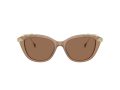 Swarovski Zonnebril SK 6010 2002OK