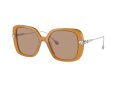 Swarovski Zonnebril SK 6011 200563