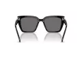 Swarovski Zonnebril SK 6013 101581
