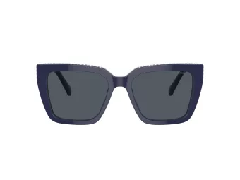 Swarovski Zonnebril SK 6013 101887