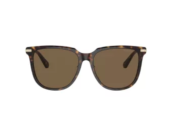 Swarovski Zonnebril SK 6015D 100273