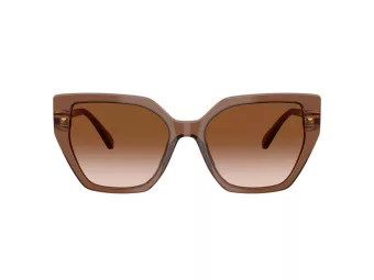 Swarovski Zonnebril SK 6016 106713