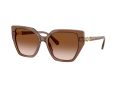 Swarovski Zonnebril SK 6016 106713