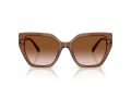 Swarovski Zonnebril SK 6016 106713