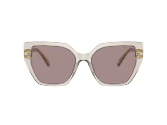 Swarovski Zonnebril SK 6016 3003LA