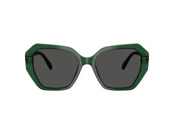 Swarovski Zonnebril SK 6017 104587