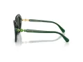 Swarovski Zonnebril SK 6017 104587
